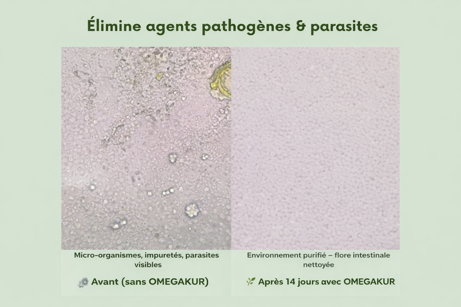OMEGAKUR Complexe